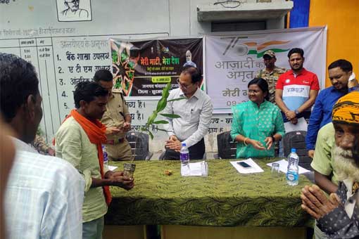 Tree Plantation