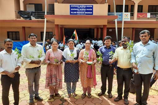 Tree Plantation