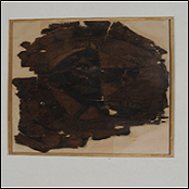 Boar Silk Face Cover